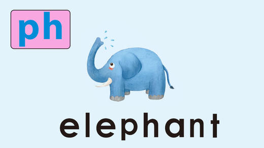 elephant 商品图0