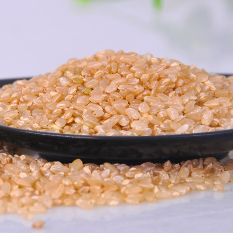 珍佰粮 有机糙米660g/罐 东北杂粮糙大米 胚芽米 粗粮米饭伴侣 罐装