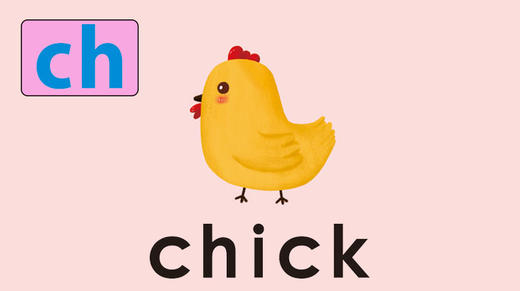 chick 商品图0