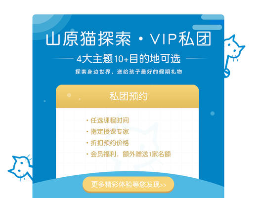 山原猫探索课程私团vip预约