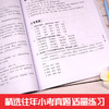 【开心图书】知识大全+小升初专项复习训练卷共6册 商品缩略图5