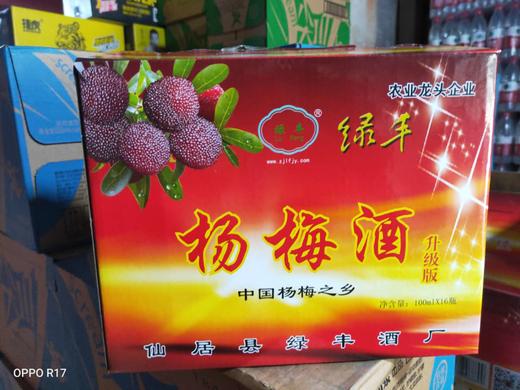 绿丰杨梅酒21度*100ML*48杯  送 本品 16杯 商品图1