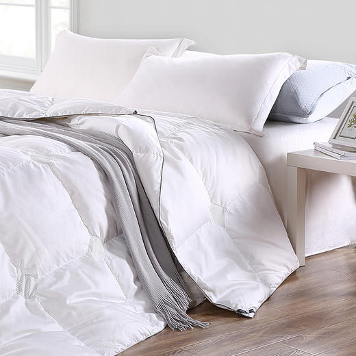 会呼吸的鹅绒-波兰特 商品图1