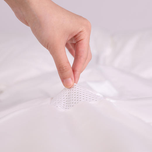 会呼吸的鹅绒-波兰特 商品图2