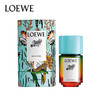 LOEWE罗意威伊维萨岛的滨海假日50mlEDT 商品缩略图2