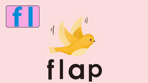 flap 商品图0