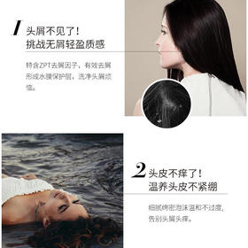 阿道夫（ADOLPH）祛屑舒爽洗护组合3件套（洗发水420ml*2+护发素420ml）