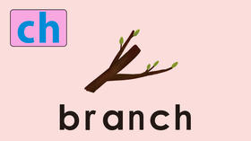 branch