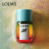 LOEWE罗意威伊维萨岛的滨海假日50mlEDT 商品缩略图1