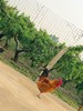 【纯野生 白天逮不住】后湖农场纯正散养桃花土鸡 不喂饲料 提前一天预定 商品缩略图4