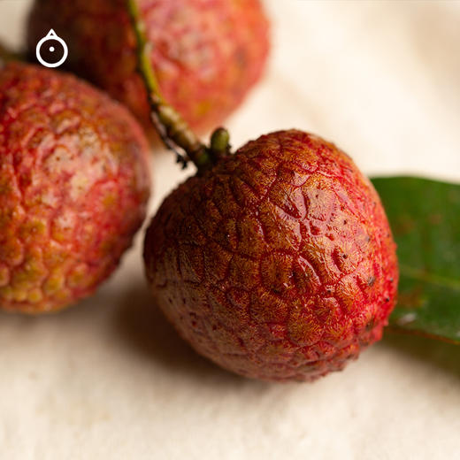 广东高山黑叶荔枝5斤装顺丰包邮