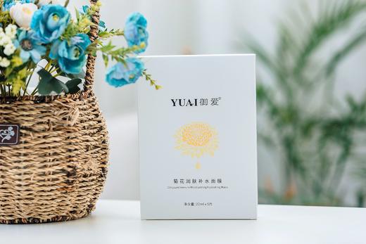 菊花补水面膜 商品图0