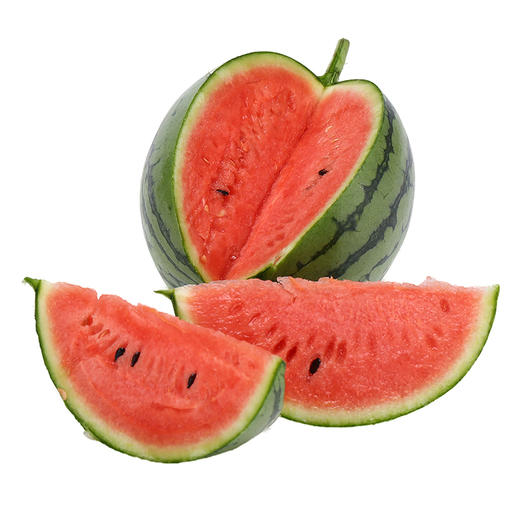 老宋瓜王金童玉女组合l600小西瓜红芯京彩一号黄芯