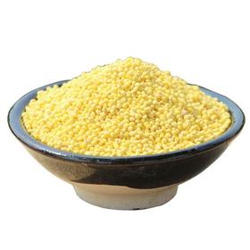 散大黄米(500g±50g)