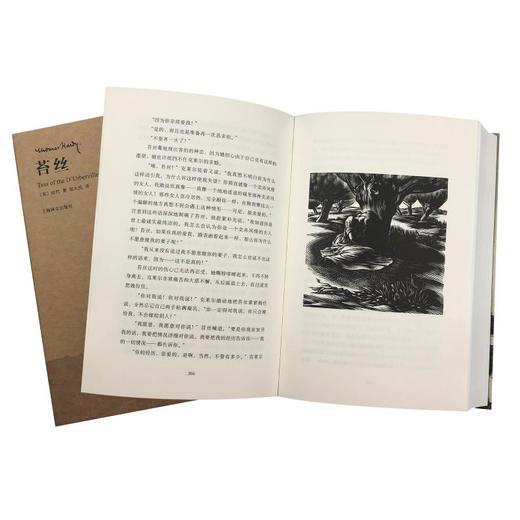 苔丝 插图珍藏本 商品图2