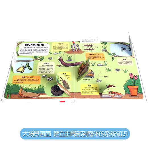 小小探险家第四辑（2册）原价：125.6 商品图5