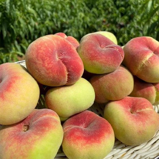 陕西大荔蟠桃 4.5-5斤(约24-32个)