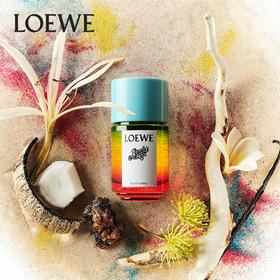 LOEWE罗意威伊维萨岛的滨海假日50mlEDT