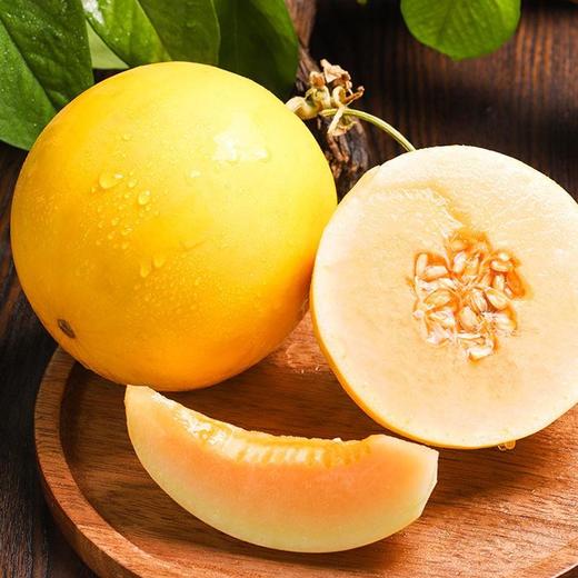 陕西黄河蜜瓜新鲜黄金蜜香甜可口水润多汁产地现摘直达5斤装9斤装