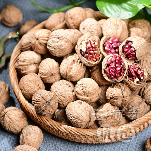【云南澜沧江红衣核桃】红色核桃皮  带壳干核桃  口感香醇细腻  送核桃夹 商品图2