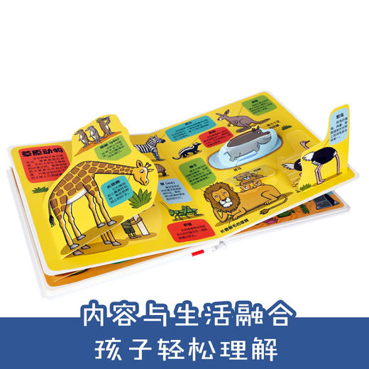 乐乐趣科普翻翻书小小探险家第二辑-各种各样的动物 原价56.8 商品图2