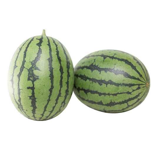 老宋瓜王金童玉女组合l600小西瓜红芯京彩一号黄芯