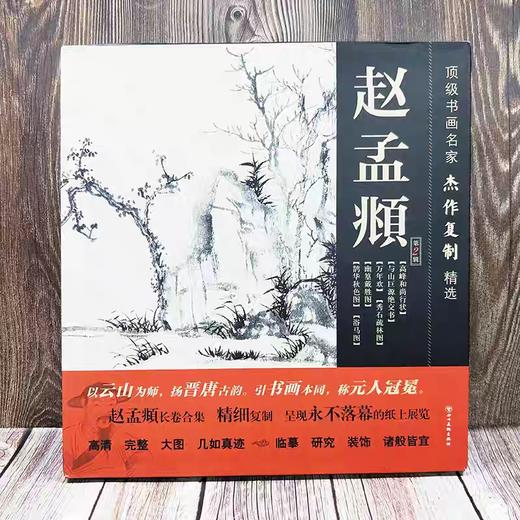 赵孟頫墨迹精品选 《古代名家杰作复制精选—赵孟頫》 商品图2