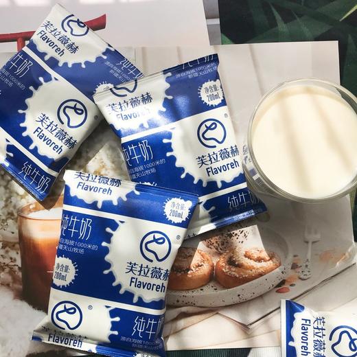 新疆芙拉薇赫利乐枕纯牛奶200ml16包件