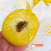 正宗新疆轮台小白杏 天山雪水浇灌，杏味足，甜度高！看看什么才是轮台产区的小白杏！ 商品缩略图0
