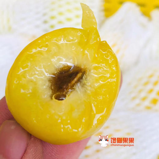 正宗新疆轮台小白杏 天山雪水浇灌，杏味足，甜度高！看看什么才是轮台产区的小白杏！ 商品图0