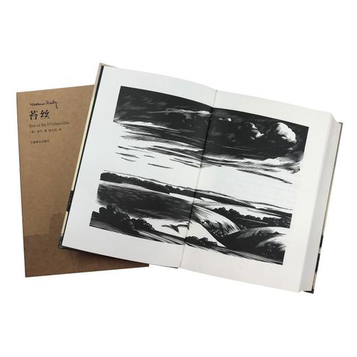 苔丝 插图珍藏本 商品图4