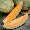 【新疆哈密瓜】2/3/4头，果肉细腻如脂，脆甜爽口 商品缩略图2