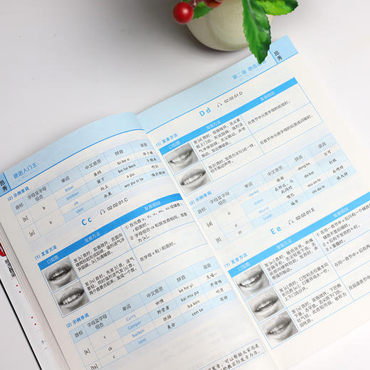 零基础 德语入门王：我的标准德语学习书 商品图2