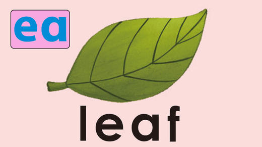 leaf 商品图0