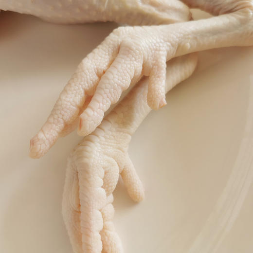 【冷冻】散养公鸡（原名嫩公鸡）-运输过程会解冻 商品图3