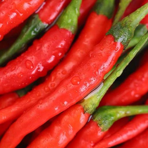 【城·食配】 小米椒 约100g/份 商品图0