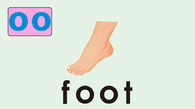 foot