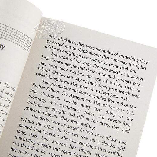 【中商原版】微光城市 英文原版 The City of Ember 商品图3