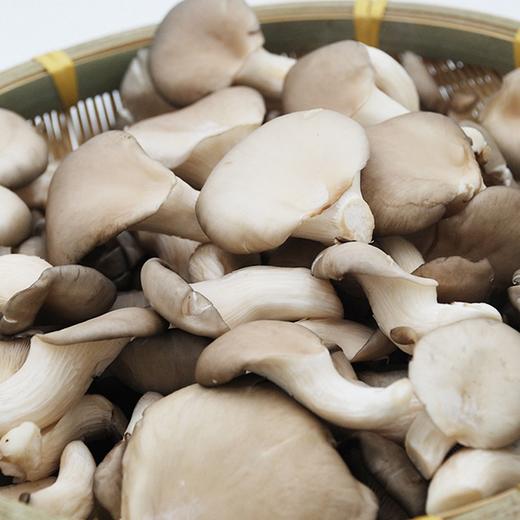 【城·食配】秀珍菇 1袋/300克 商品图0