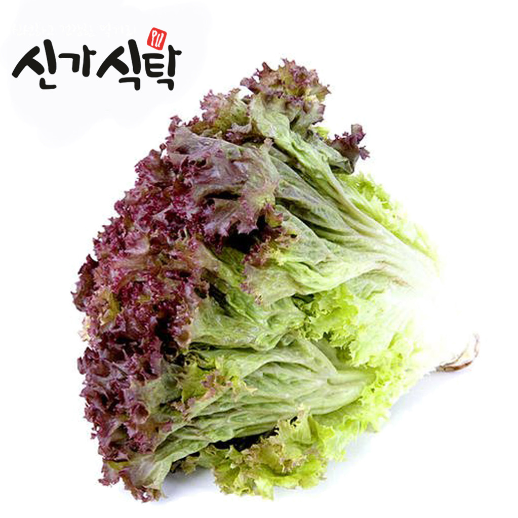 신가식탁상추300g