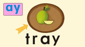 tray