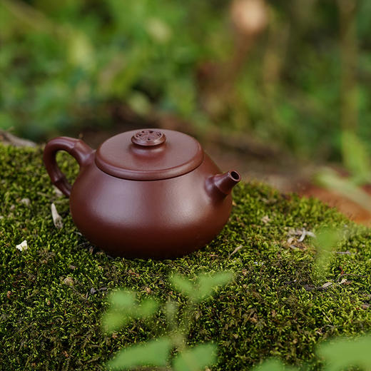 龙德堂陶艺 吴水勤制 《紫苞琅玕·玄武》 220cc (库存请咨询客服) 商品图1