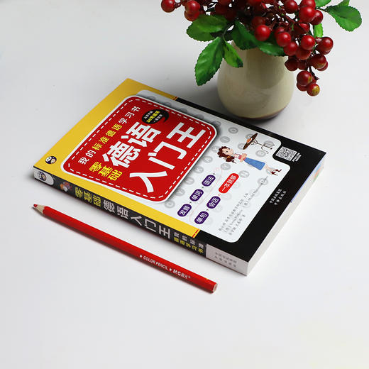 零基础 德语入门王：我的标准德语学习书 商品图1