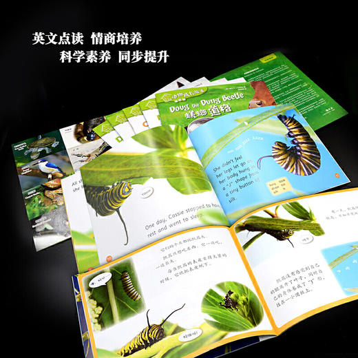 动物成长故事套装(1-5辑)/(6-10辑)/(1-10辑) 商品图5