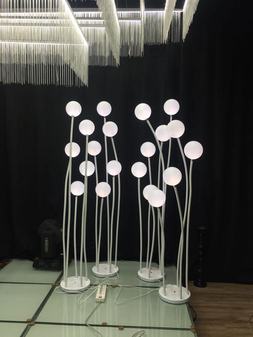 5头奶白球路引【运费自理】 商品图2