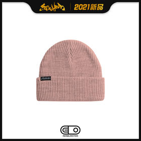 2021 AIRBLASTER Commodity Beanie-Blush