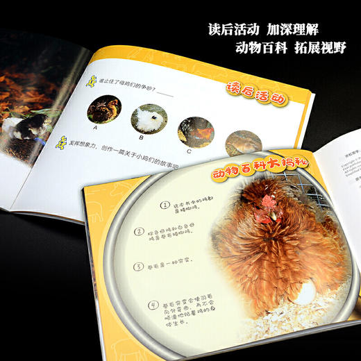 动物成长故事套装(1-5辑)/(6-10辑)/(1-10辑) 商品图6
