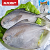 1903陆龙东海冷冻鲳鱼500g/3-4条 商品缩略图1