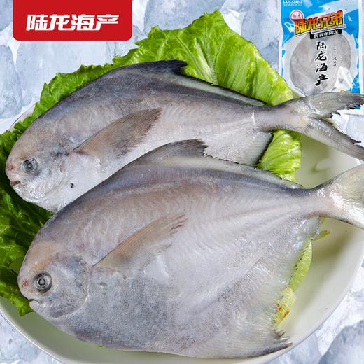 1903陆龙东海冷冻鲳鱼500g/3-4条 商品图1