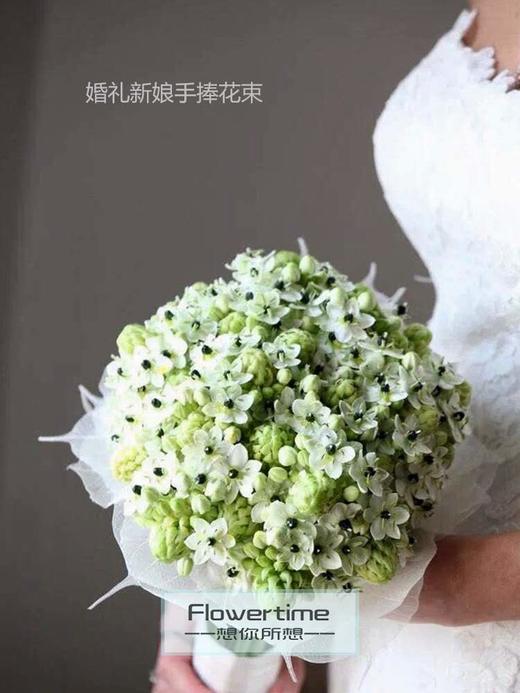 【读本鲜花】天鹅绒-伯利恒之星10支特惠 49元